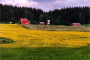 Political agreement on new Common Agricultural Policy: fairer, greener, more flexible