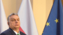 US warns Hungary on 'undue' rights restrictions over virus