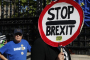 No-deal Brexit would be 'disaster', warns EU business lobby