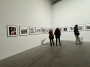 EU ends Venice Biennale funding over return of Russian pavilion