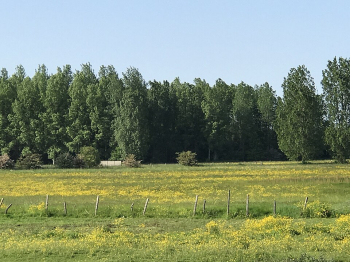 Brussels registers two citizen-led environmental initiatives seeking stronger EU protections for nature