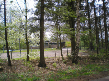 Anti-asylum parties gain influence in dozens of dutch local councils