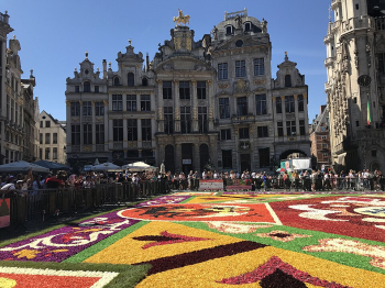 Belgium sees sharp drop in foreign investment, lowest level in over a decade