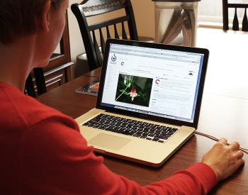 Nearly half of Europeans faced hostile online content in 2025, EU survey finds