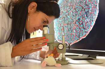 Women in science and engineering hit record 7.9 million in the EU, new data show